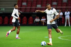 毛球運動員 毛球運動員